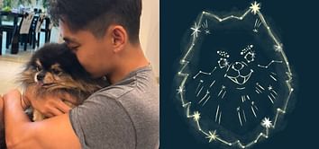 "It's a beautiful tribute" — Fans react to illustrator Louise Pretzel paying homage to BTS' Taehyung's pup Yeontan via 'White Christmas' MV