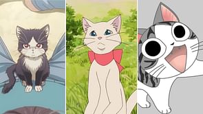 10 best anime for cat lovers to watch