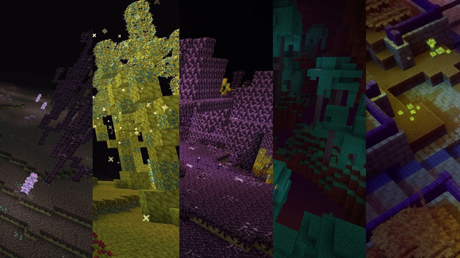 More biomes could be added (Image via Mojang Studios || XxPoggyisLitxX)