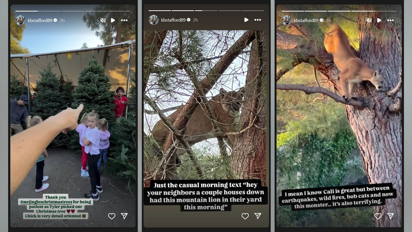 Kelly Stafford shares encounter with &#039;terrifying monster&#039; at Hidden Hills (image credit: instagram/kbstafford89)