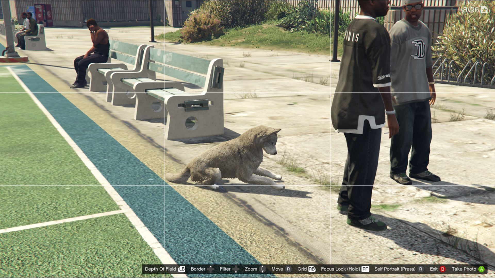 The photograph of a dog for GTA 5 collectibles guide readers. (Image via Rockstar Games)