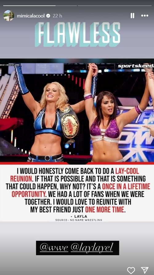 A screengrab of Michelle McCool's Instagram Story.