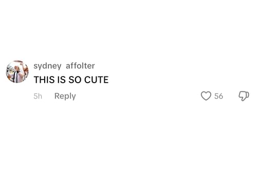 @sydney_affolter comments on @lucyolsen45's TikTok Post