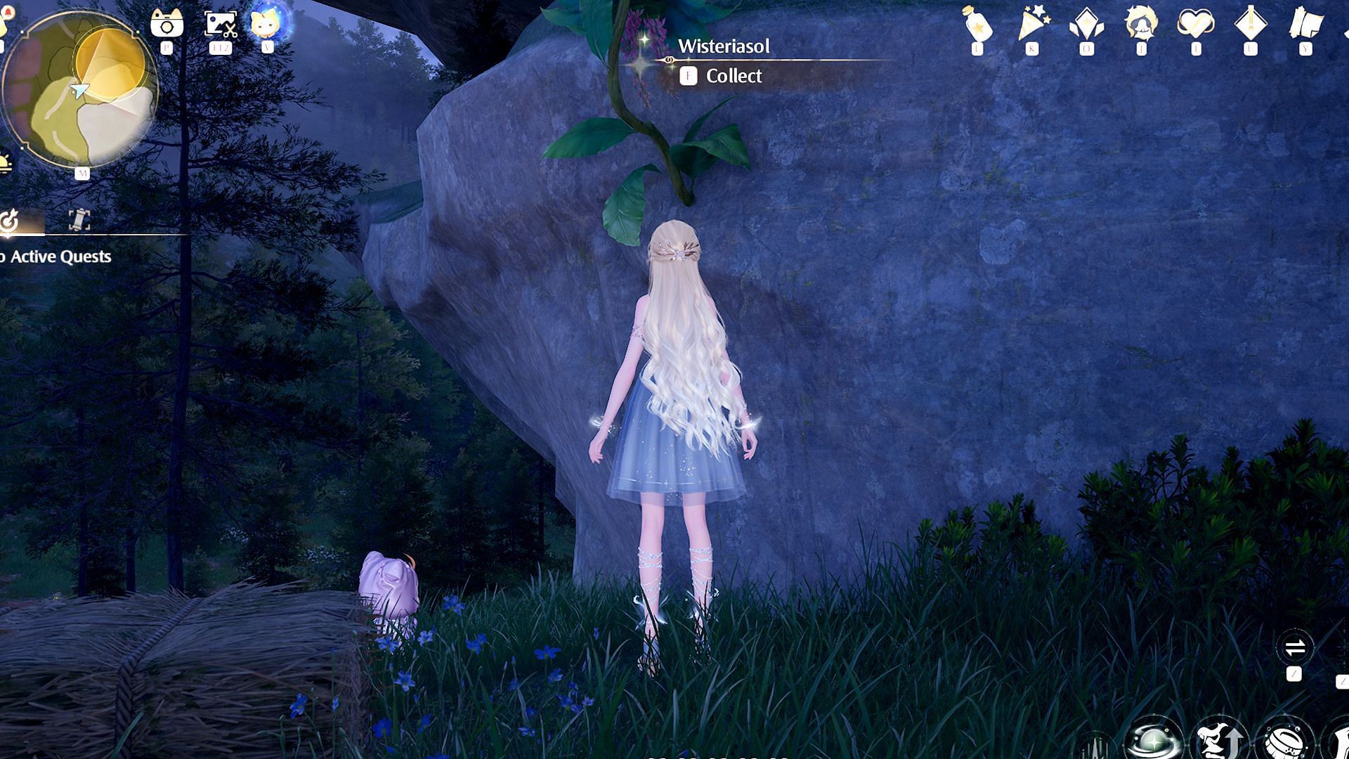 You can collect Wisteriasol from cliffsides (Image via Infold Games)