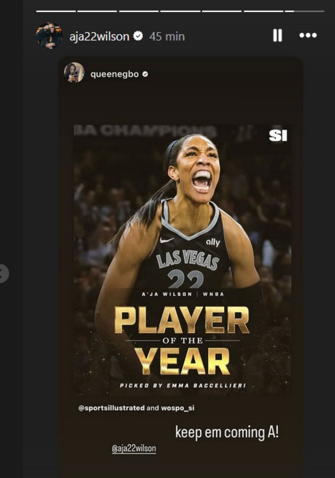 Vi A&#039;Ja Wilson&#039;s IG (image credit: instagram/aja22wilson)