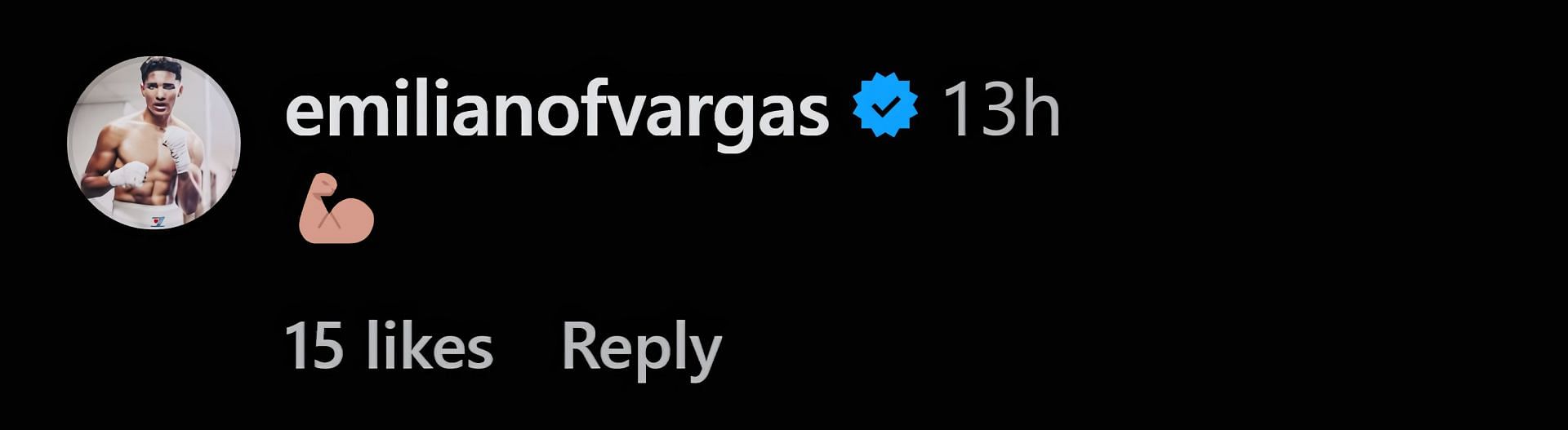 A screenshot of Emiliano Vargas&#039; comment about Tyson Fury&#039;s moment with Oleksandr Usyk