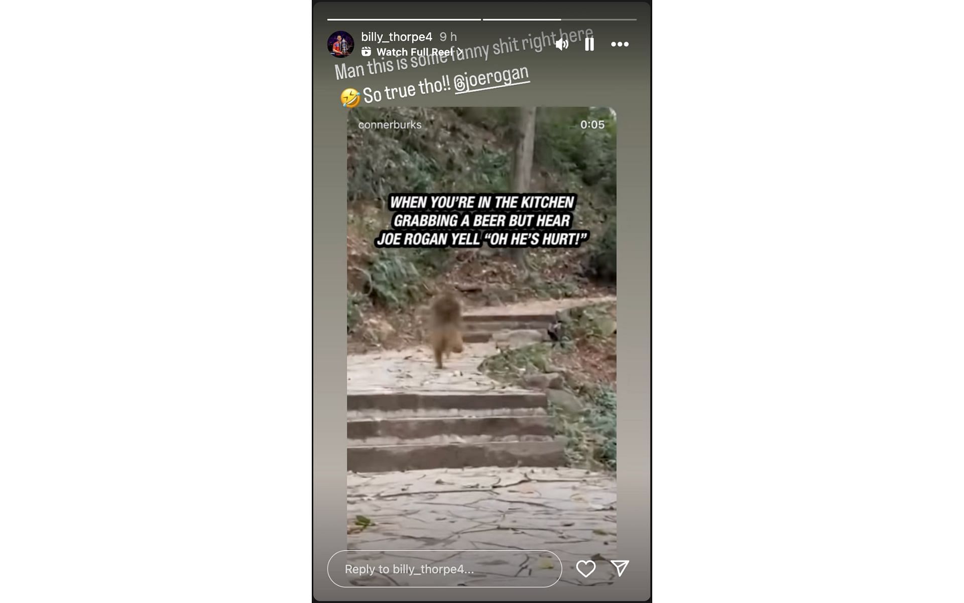 Screenshot of Billy Thorpe&#039;s Instagram story reacting to Joe Rogan&#039;s meme. [via: @billy_thorpe4 on Instagram]