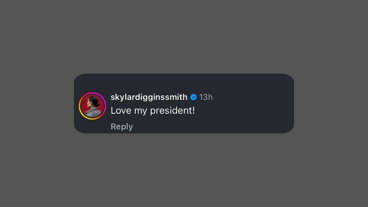 Skylar Diggins-Smith&rsquo;s comments (IG/@nneka)