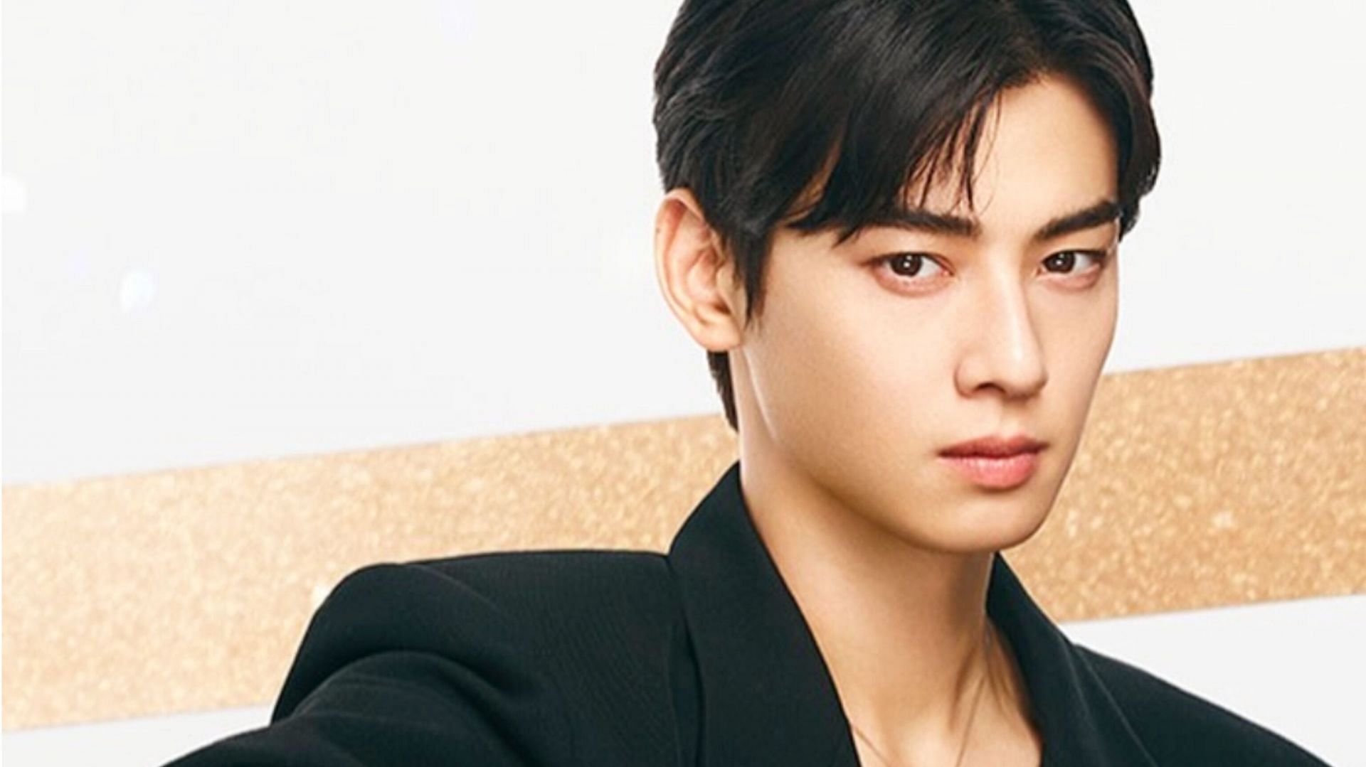 Fans go gaga over Cha Eun-woo