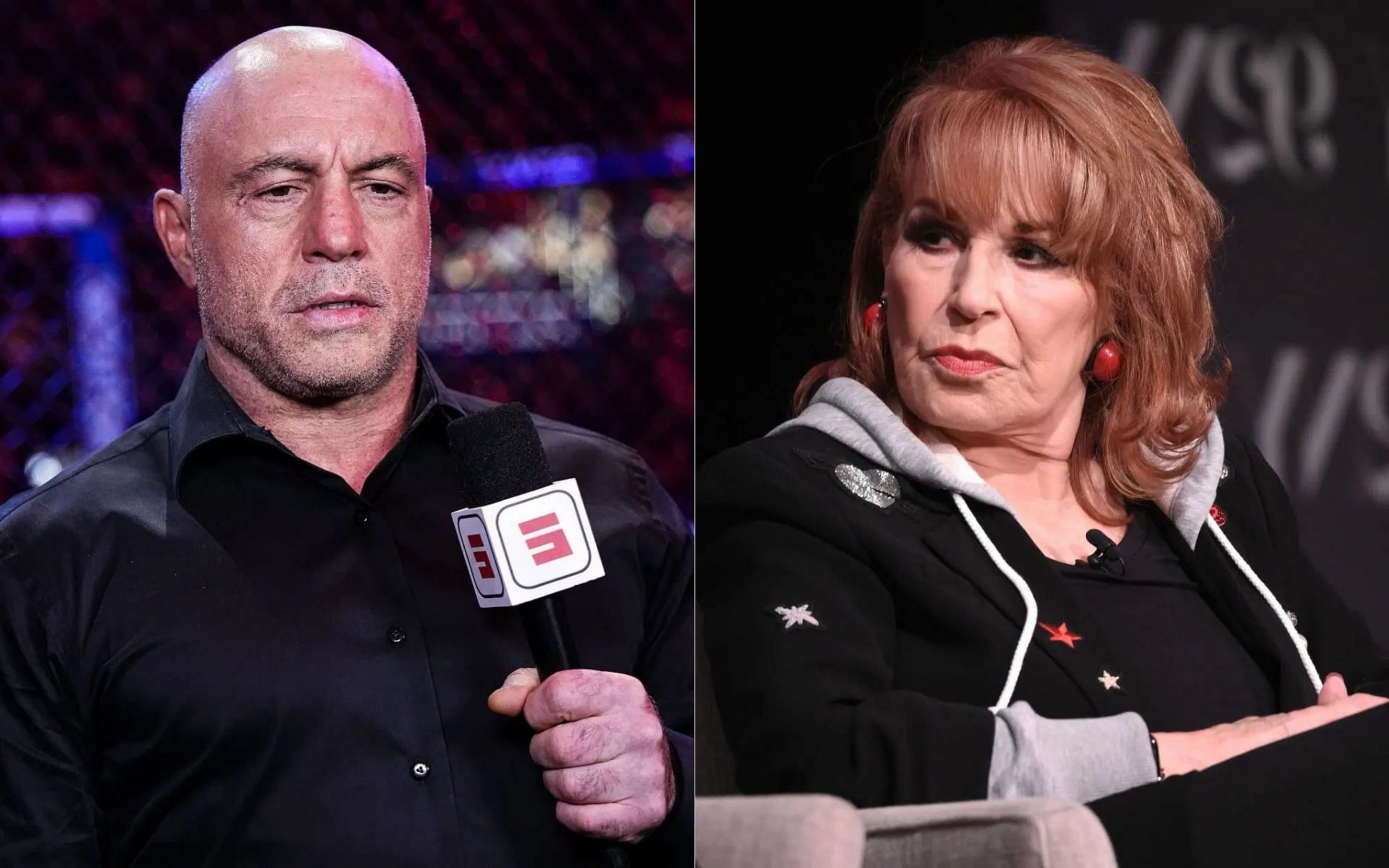 Joe Rogan (left) responds to Roy Behar