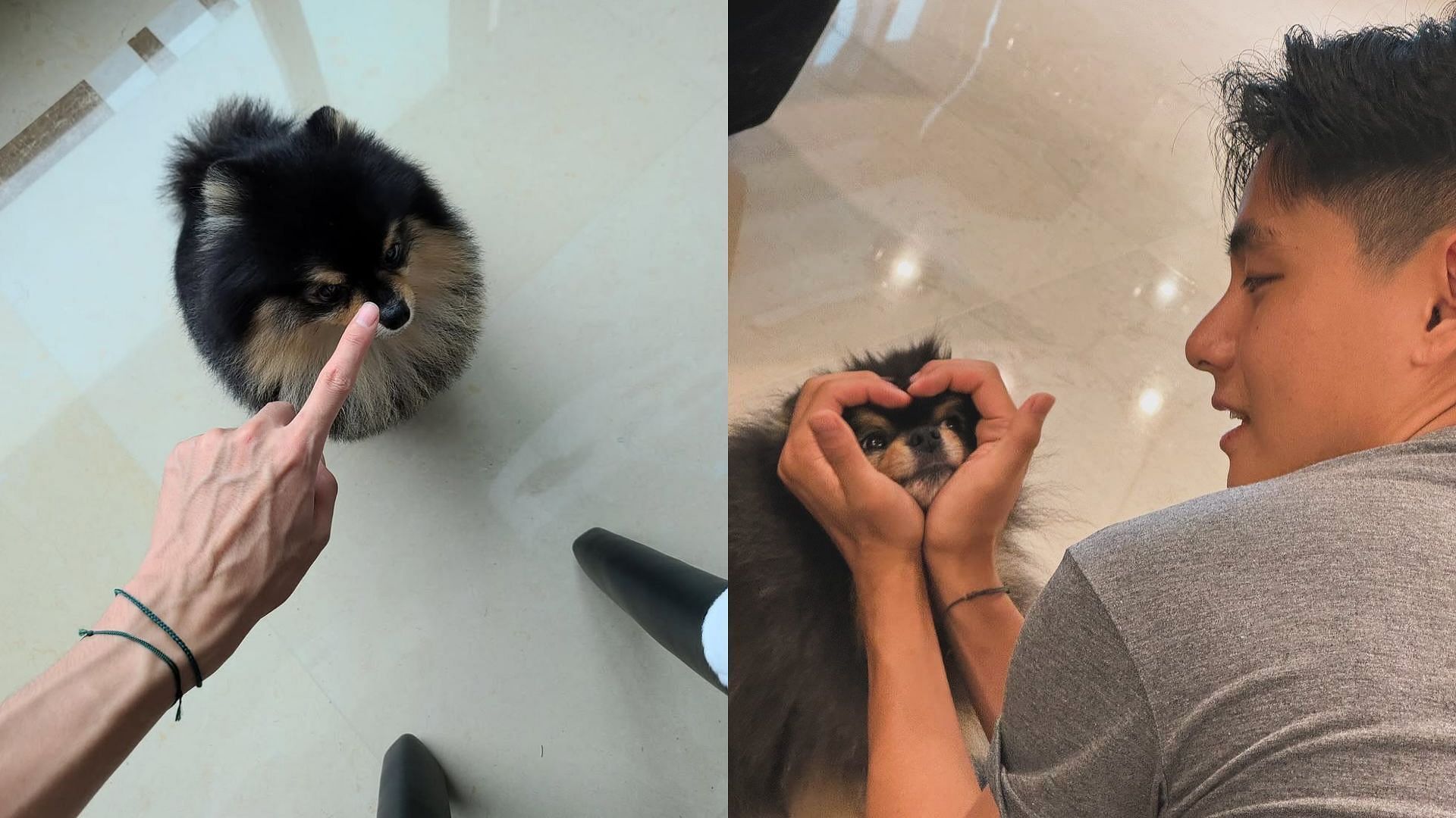 A lookback at Taehyung X Yeontan moments (Images via Instagram/thv)