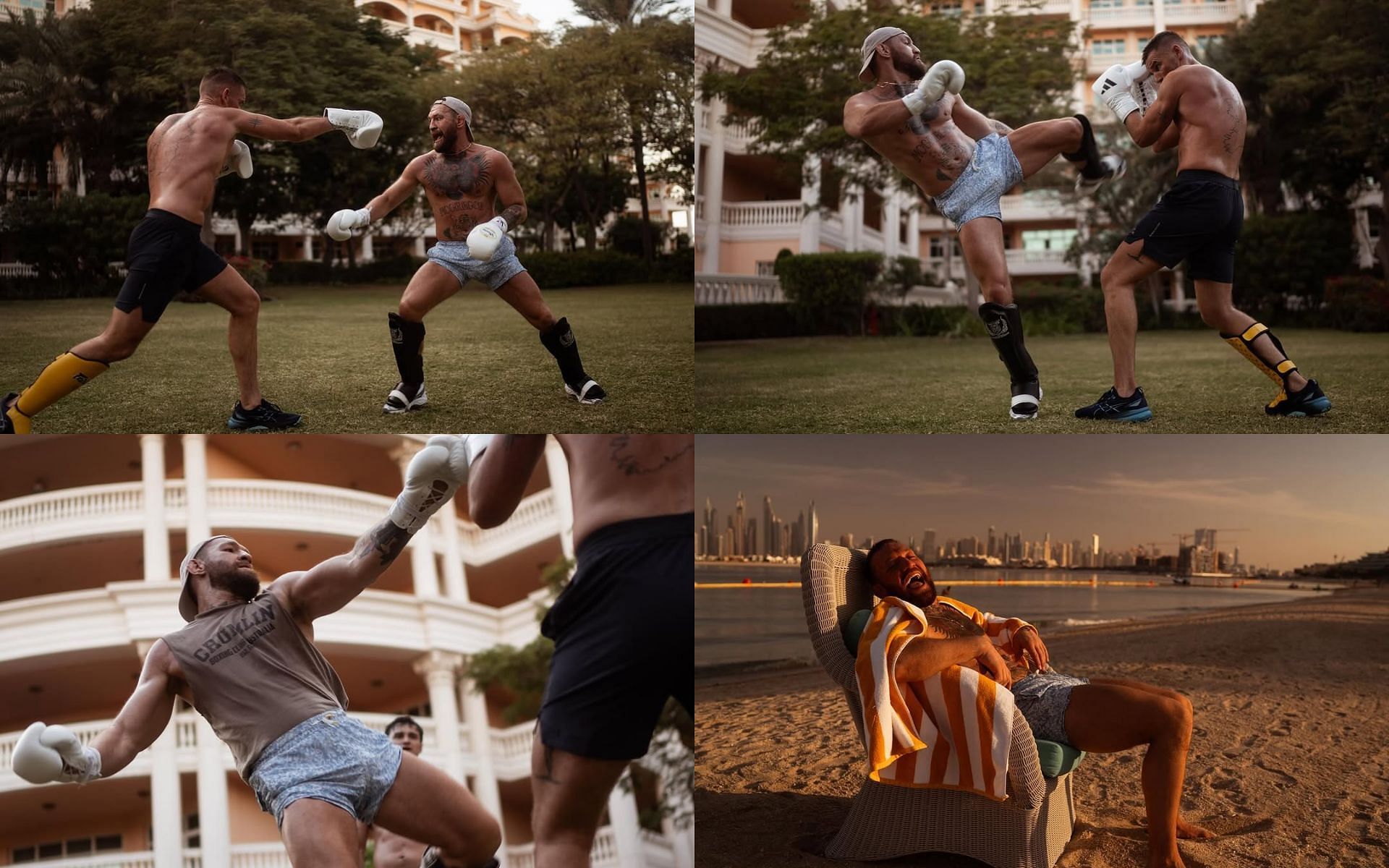 Conor McGregor&#039;s training photo collage