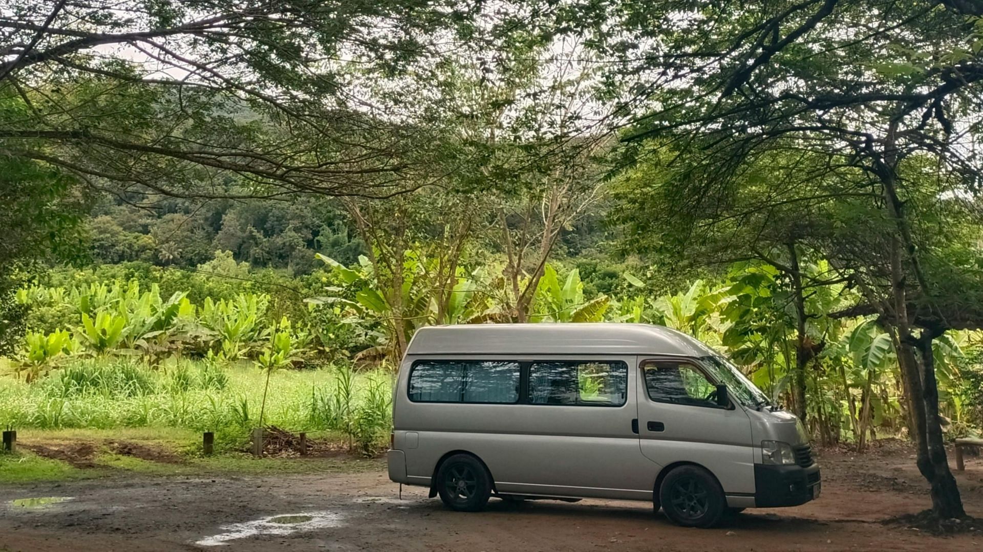 Representative image of a white van (Photo by pexels) 