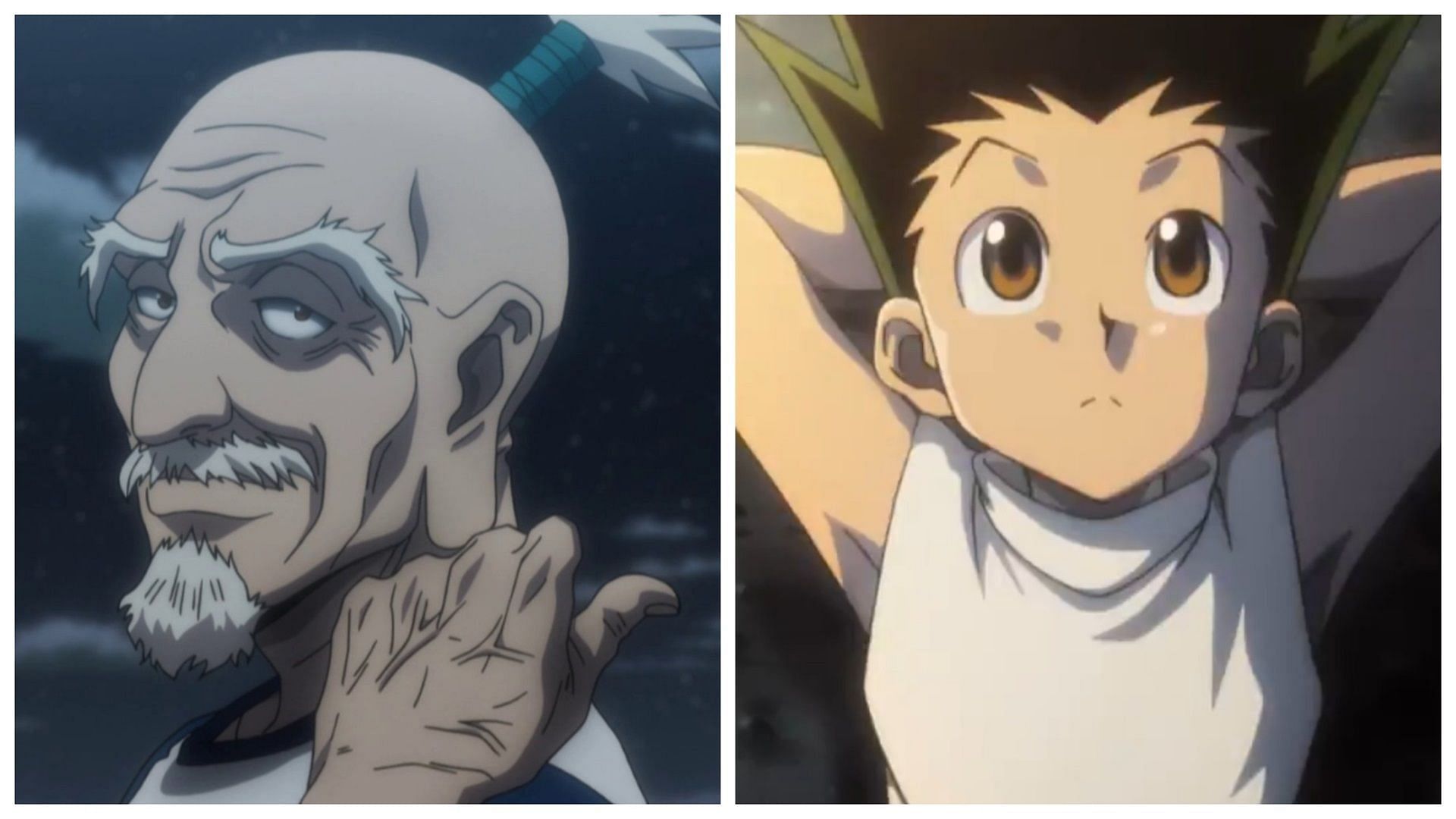 Netero and Gon in the Hunter &times; Hunter anime (Image via Madhouse)