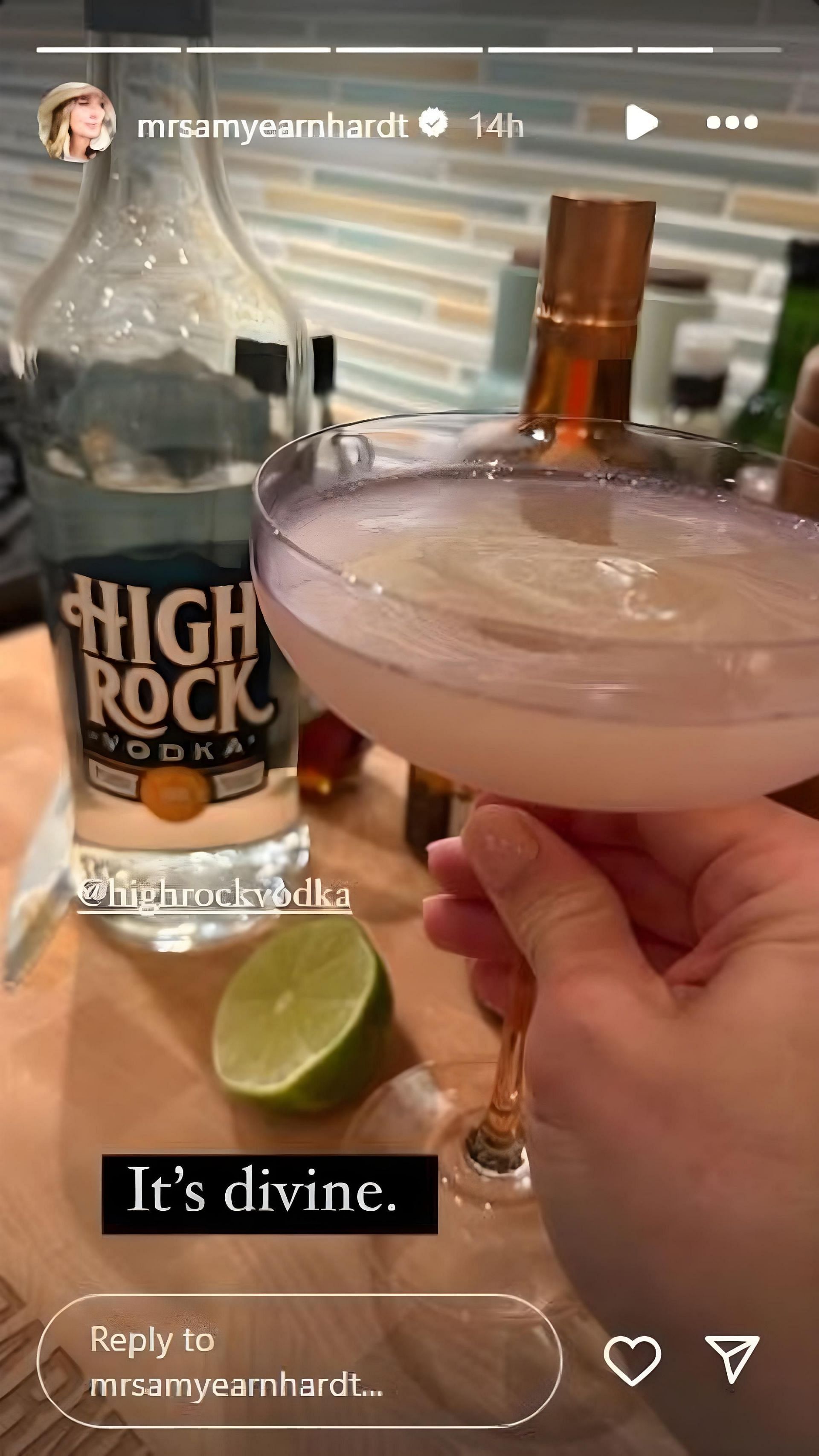 Amy Earnhardt&#039;s Instagram story of her martini featuring High Rock Vodka - Source: via @mrsamyearnhardt on Instagram