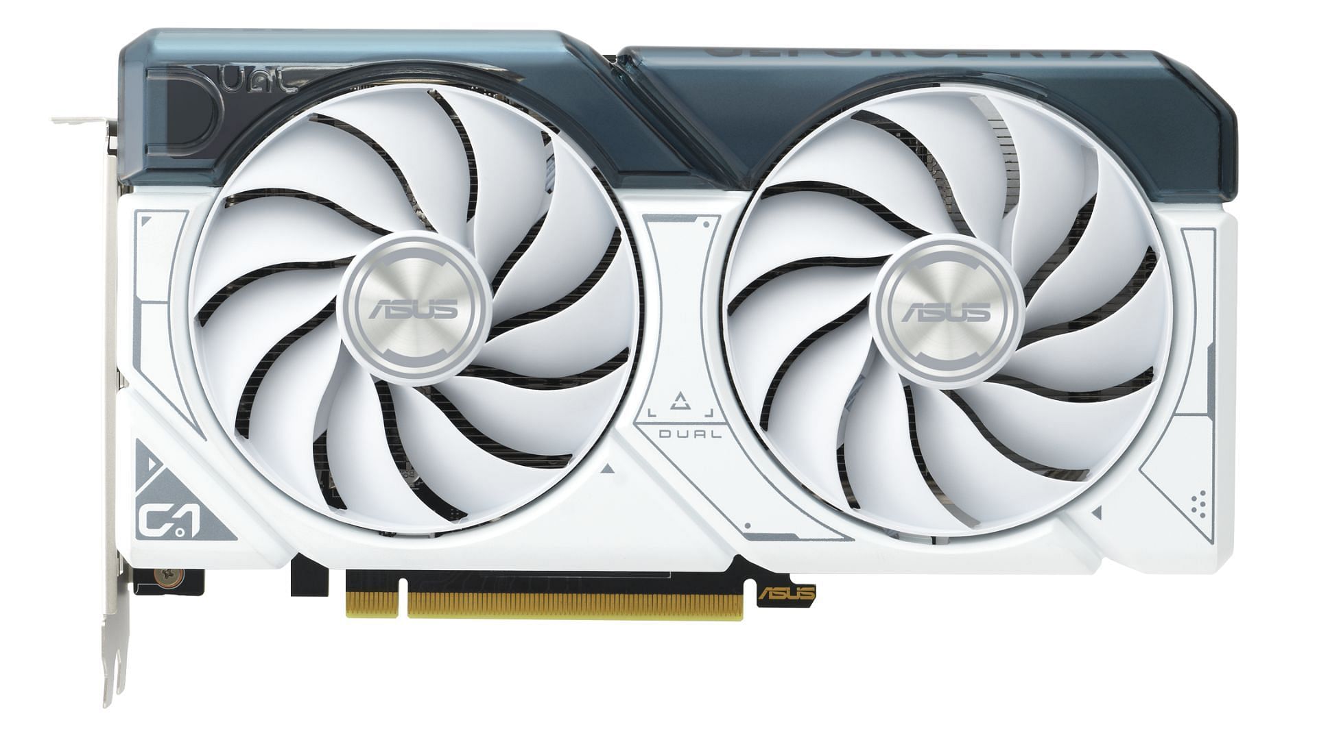 The Nvidia RTX 5060 Ti is expected to launch in March 2025 (Image via Asus)