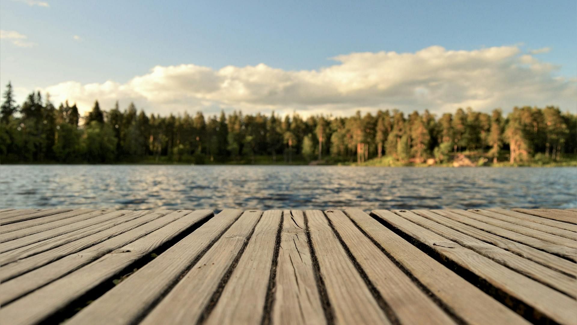 Jocelyn and Wesley started a business venture to open a lake resort (Image via Pexels)