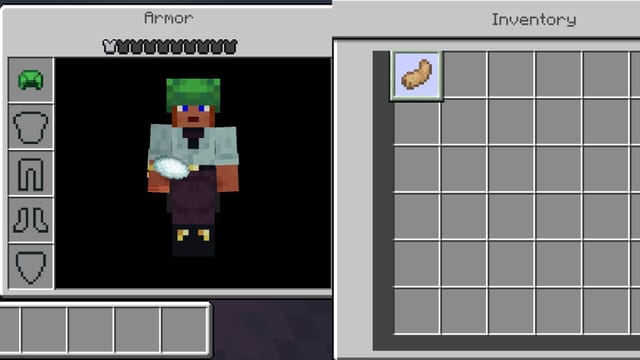 Minecraft needs more animal-based equipment like a turtle shell