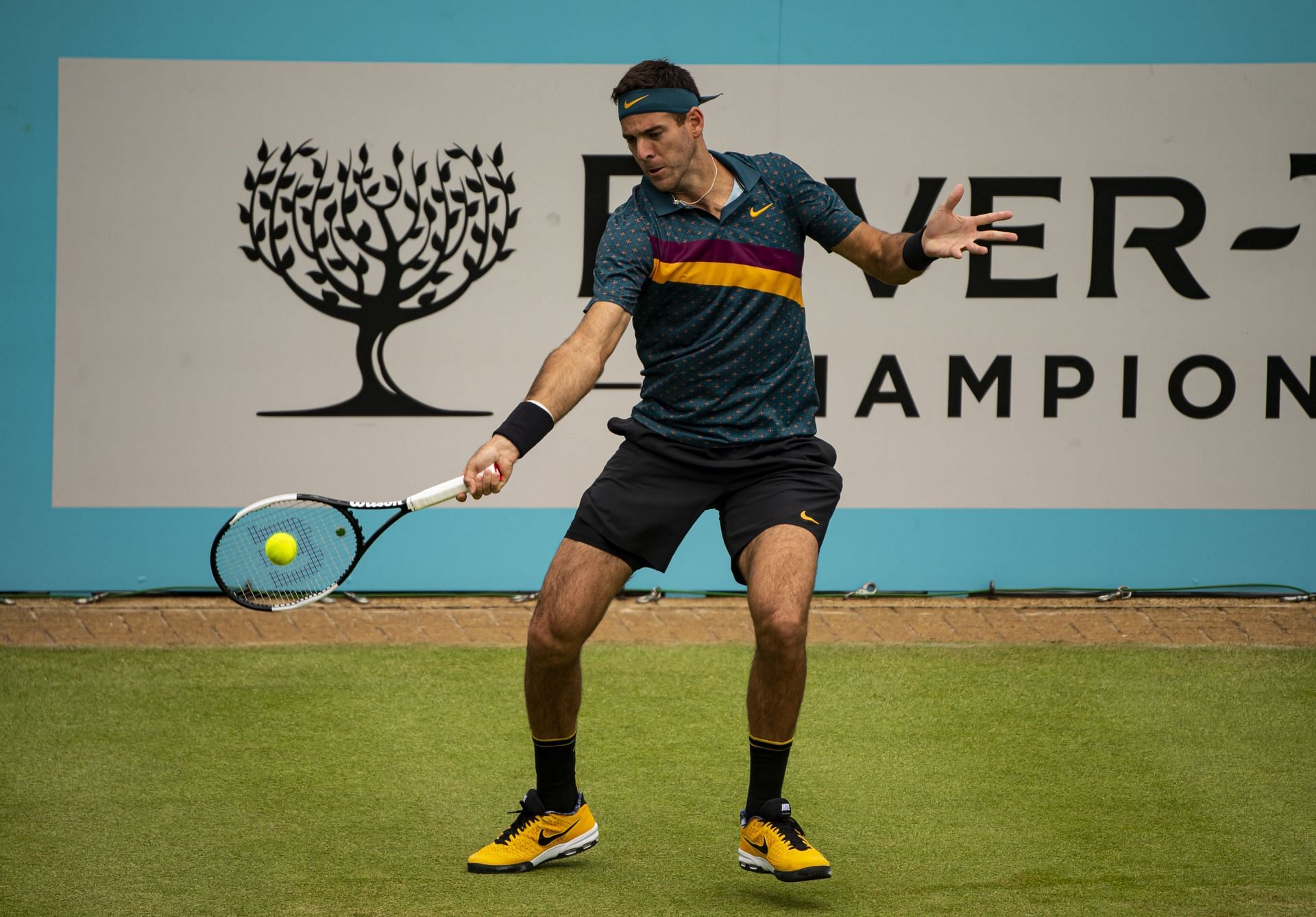 Juan Martin del Potro in 2019 [Image Source: Getty Images]