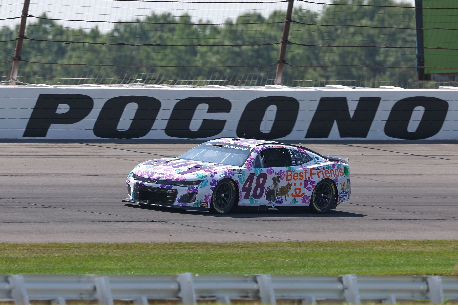 Alex Bowman of Hendrick Motorsports driving the Ally Best Friends Chevrolet Camaro ZL1 - Source: Getty Images