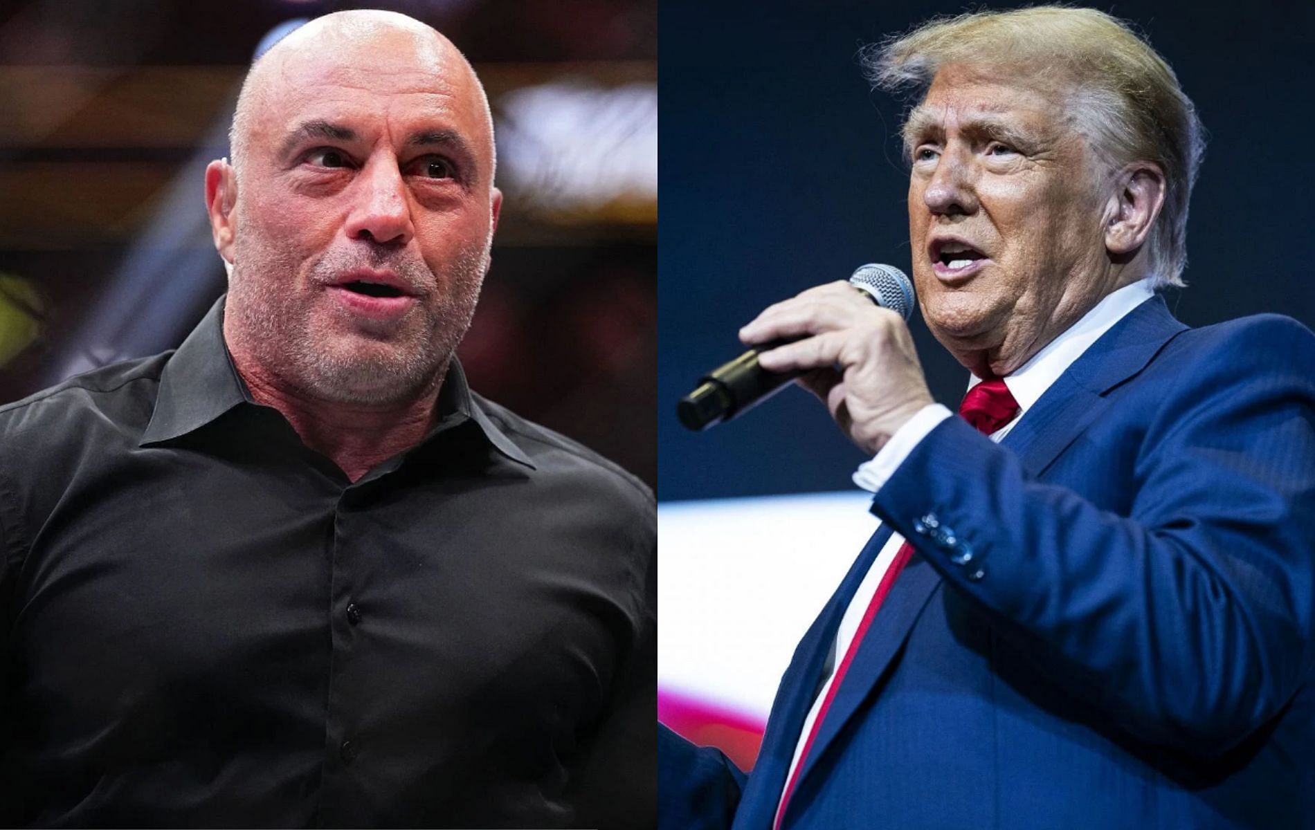 Joe Rogan appreciates Donald Trump