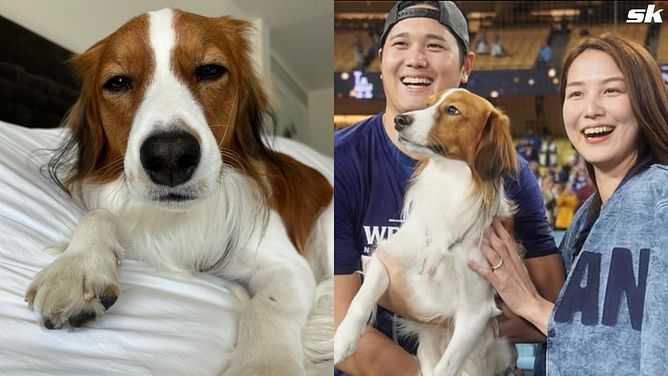 In Photos: Shohei Ohtani melts hearts with sweet snap of pup Decoy cuddling plush dog