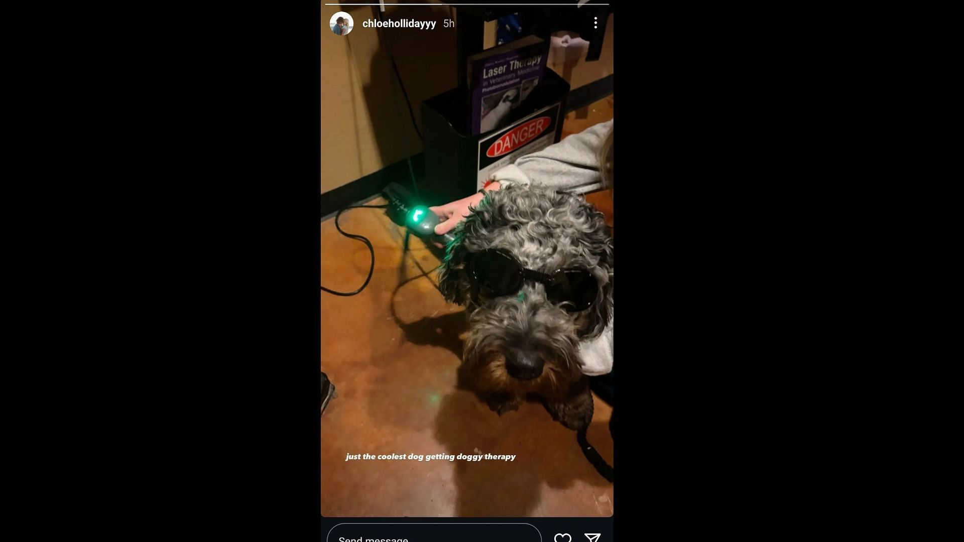 Chloe Holliday's Instagram story about Coconut's laser therapy