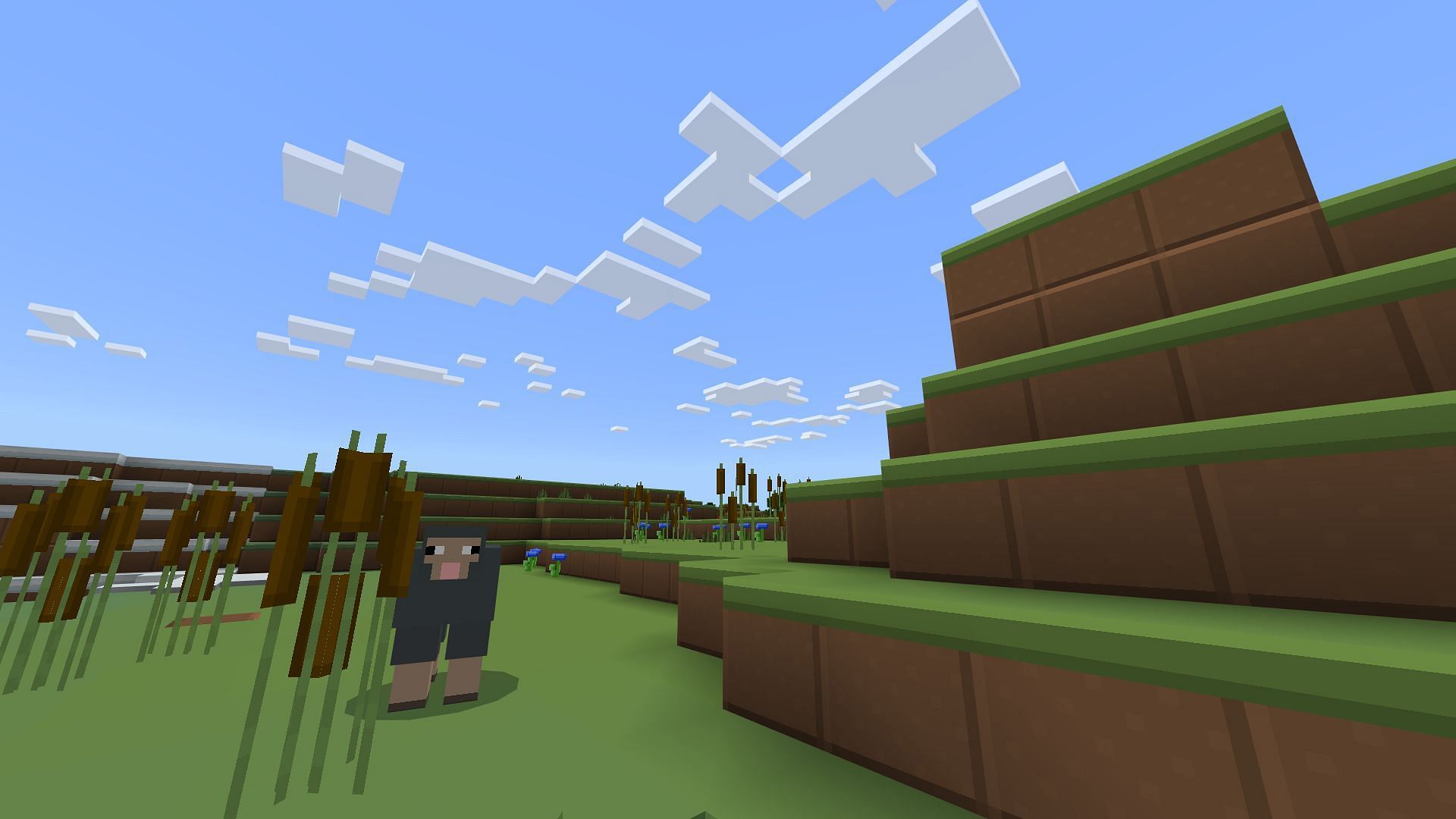 Obtain the Plastic Texture pack from the Minecraft Marketplace (Image via Mojang Studios)