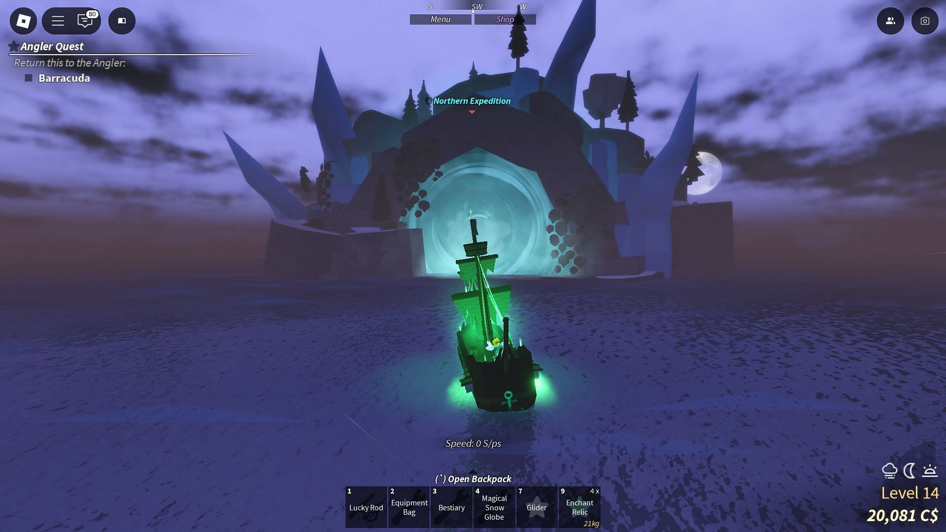 You can enter the Northern Expedition island through this portal (Image via Roblox)