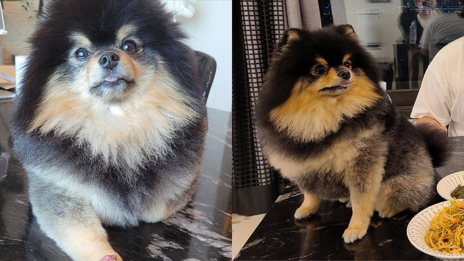 V posts multiple photos oh Yeontan post his passing news (Images via Instagram/thv)