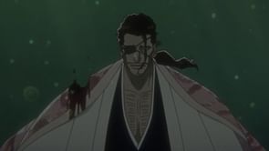 Shunsui's character development is the hidden gem of Bleach: Thousand-Year Blood War