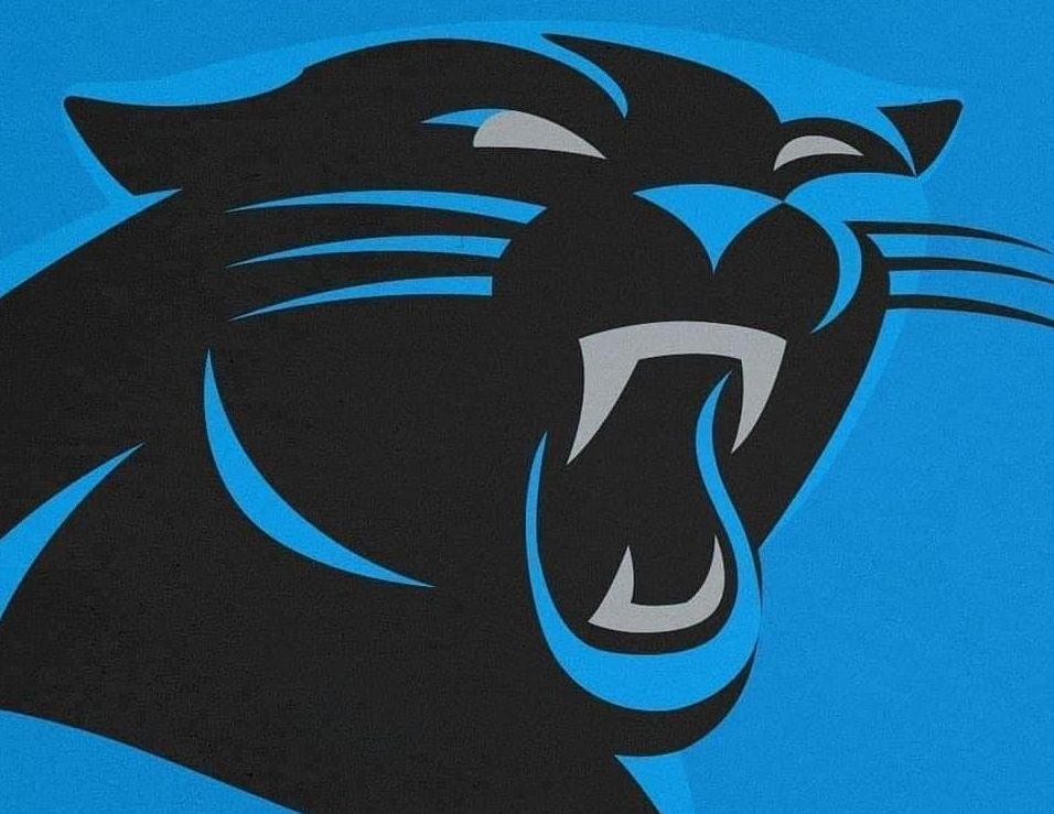 The Carolina Panthers Super Bowl Wins