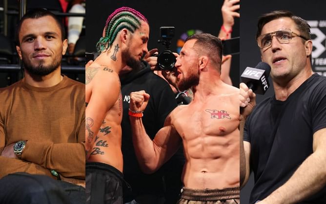 Chael Sonnen believes Sean O’Malley should face Merab Dvalishvili, not Umar Nurmagomedov: “They did it to him twice!”