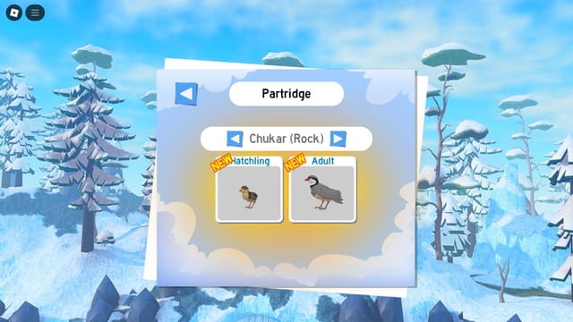 Feather Family Partridge guide