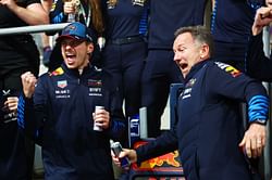 Christian Horner makes his feelings known about Max Verstappen's "stupid idiots" remark for F1 stewards