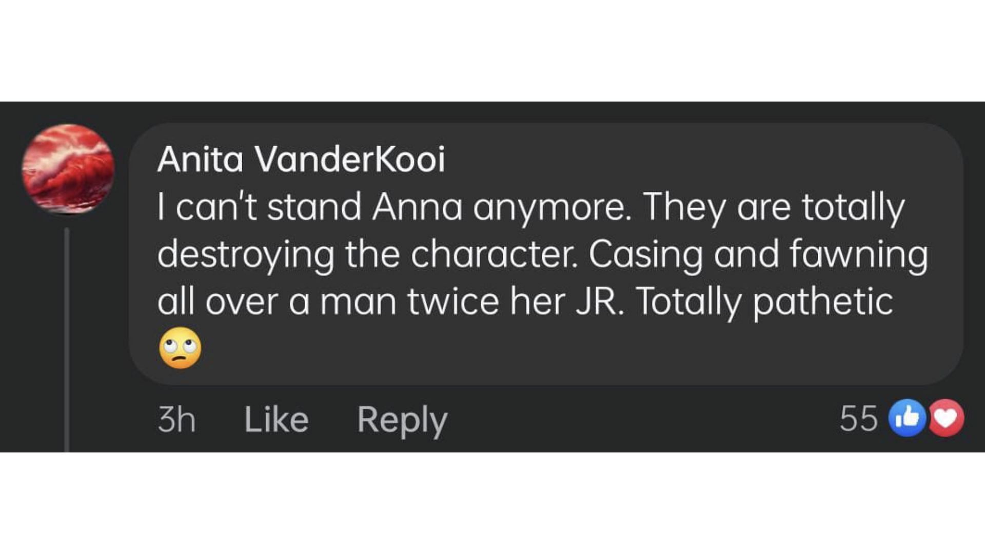 Screenshot of comment on Anna&rsquo;s storyline in General Hospital (Image via Facebook/General Hospital)