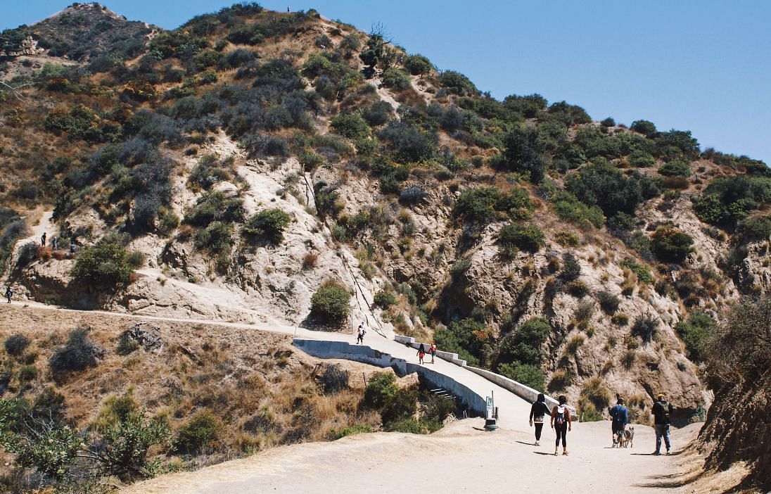 Griffith Park (Image via Griffith Observatory)