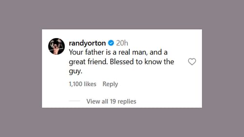 Randy Orton's comment (Image via @aalyahgutierrez on Instagram)