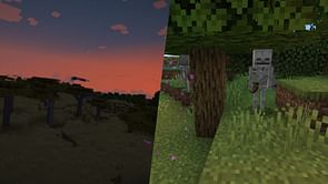 5 mobs Minecraft fans find the most annoying