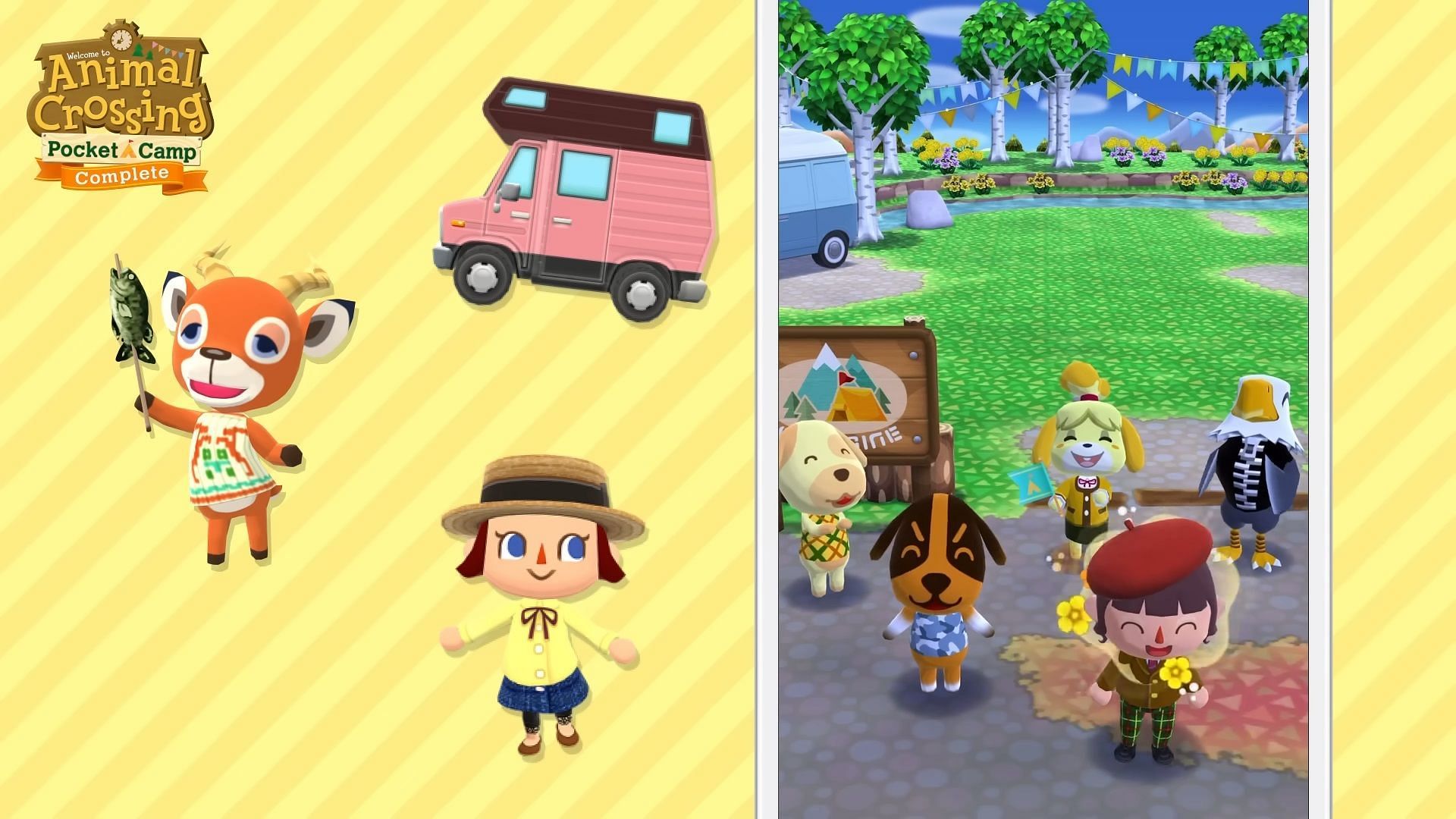 Picture of Animal Crossing: Pocket Camp Complete