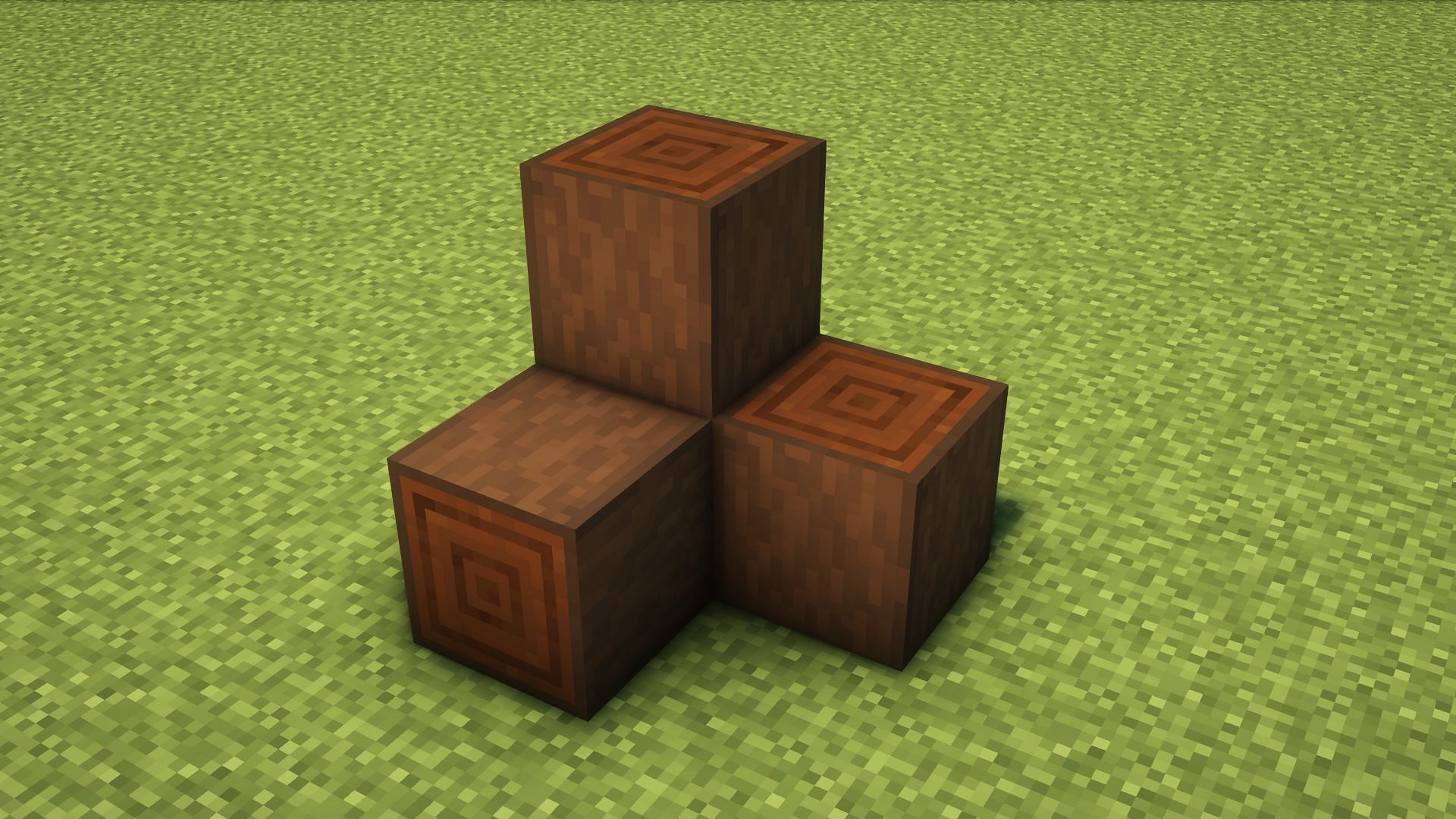 Dark Oak trees have dark brown wood blocks (Image via Mojang Studios)