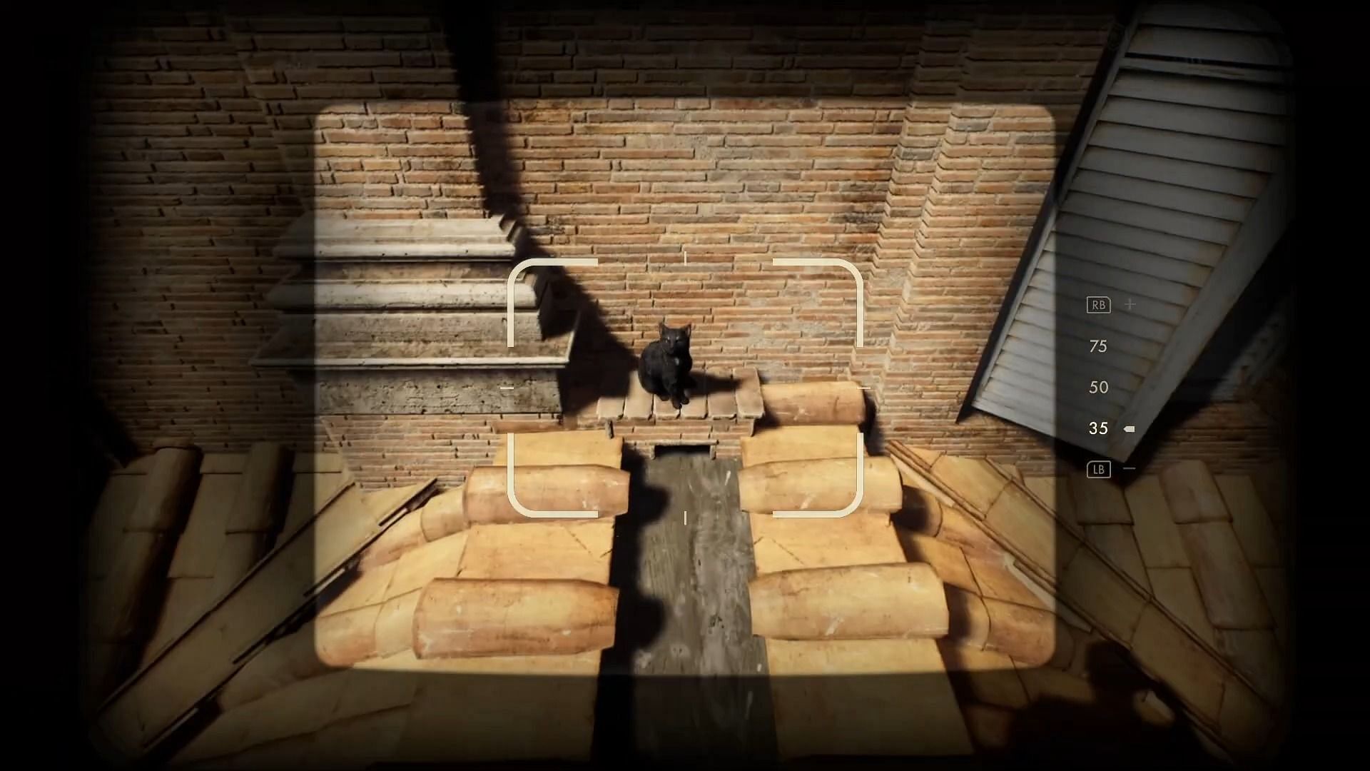 Take a picture of the cat to complete the mystery (Image via Bethesda Softworks)