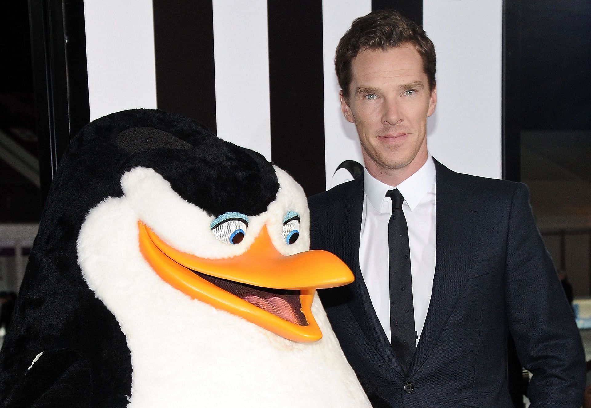 Benedict Cumberbatch seen at the New York premiere of Penguins Of Madagascar in 2014 (Image via Getty)