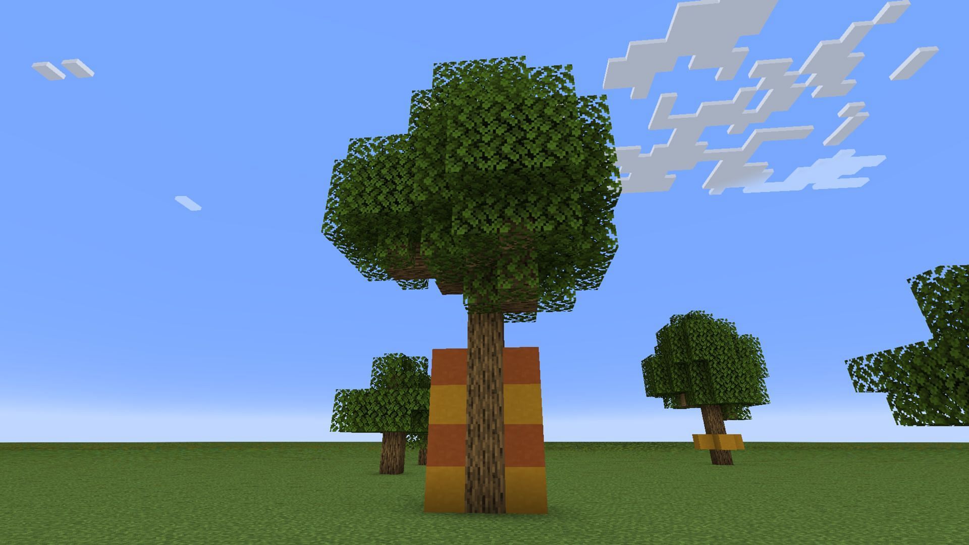 Place four vertical blocks on either side of a sapling to grow big trees in Minecraft (Image via Mojang Studios)