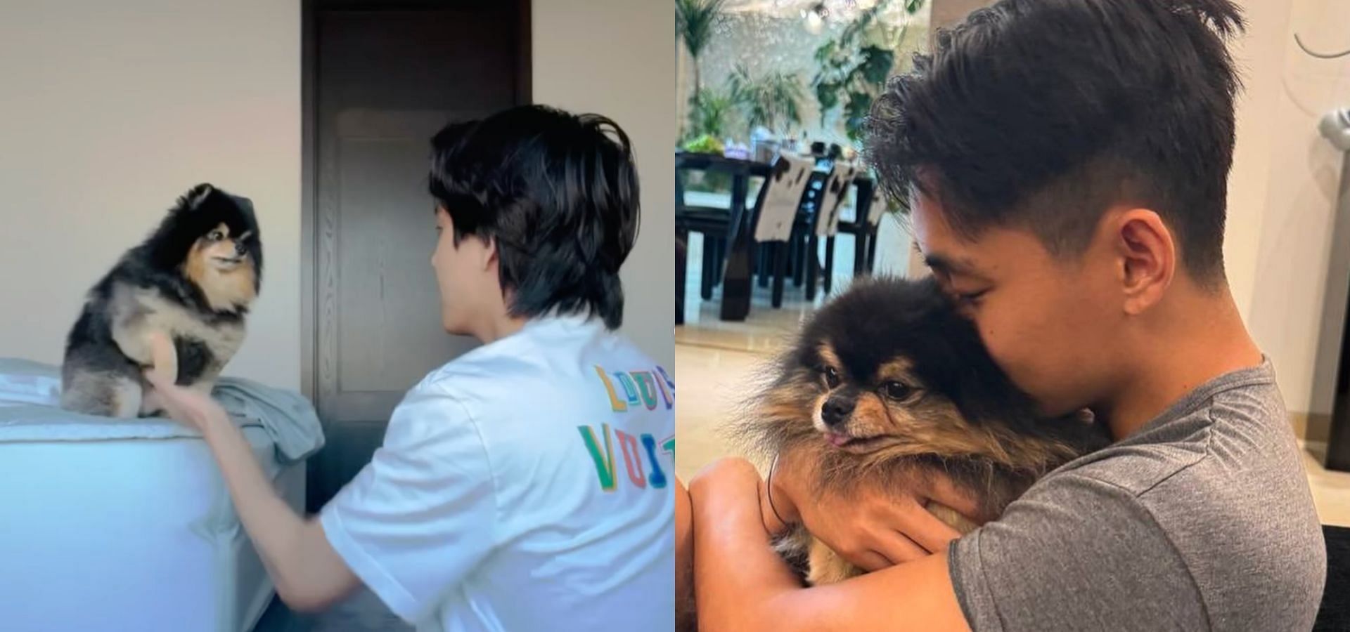 Taehyung&rsquo;s pup Yeontan leaves behind a legacy and a massive void. (Images via Instagram/@thv)