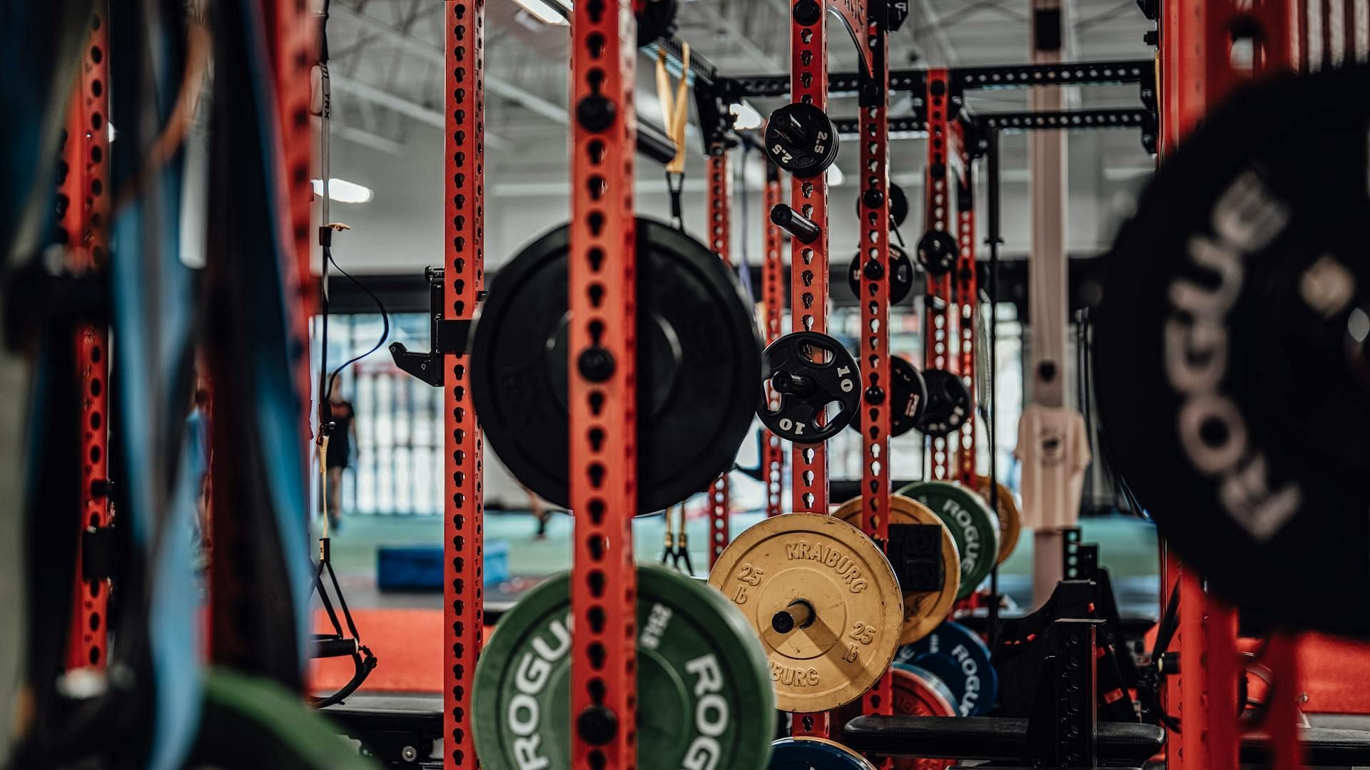 The Sun Gym gang members whereabouts explored (Image via Pexels)