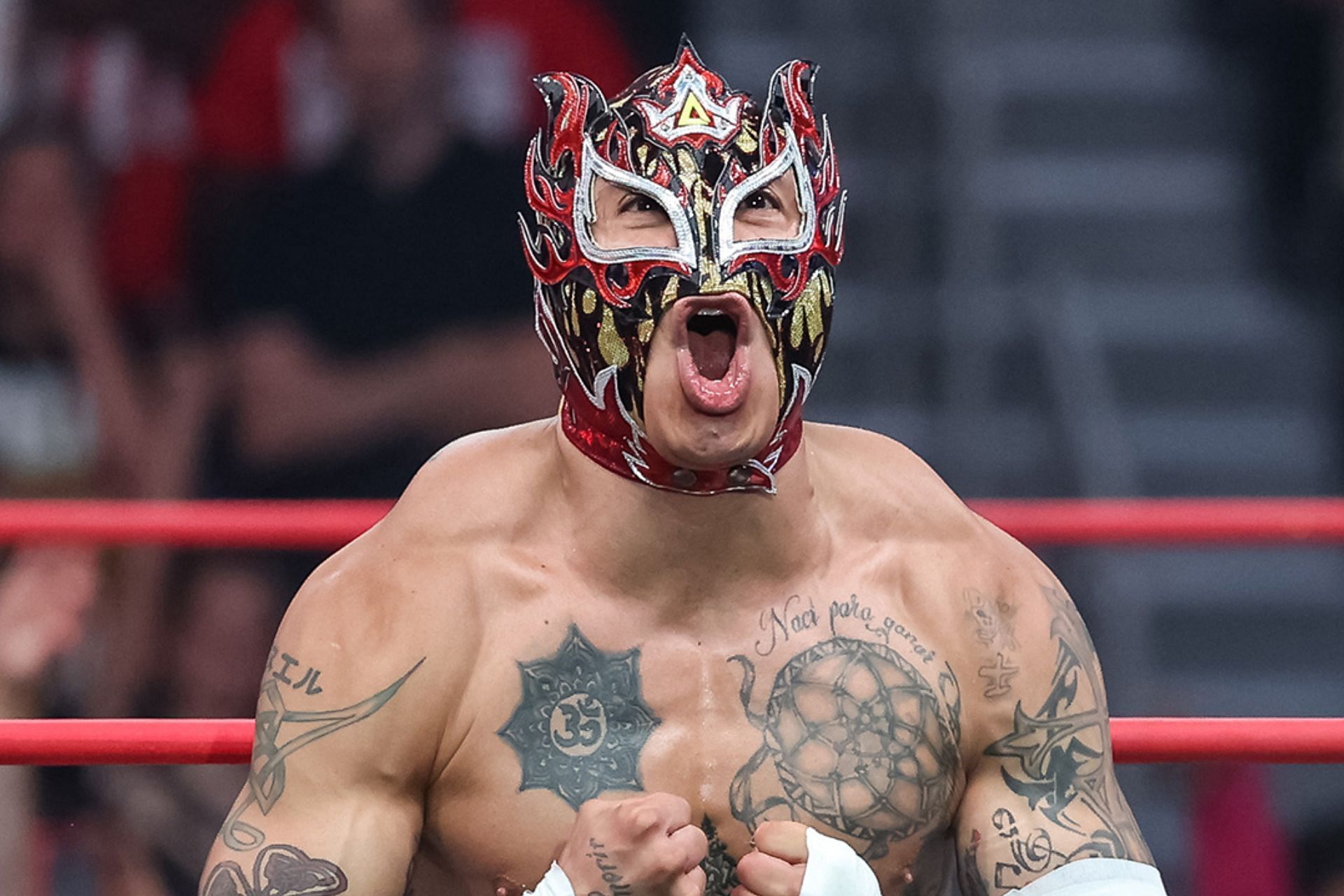 Rey Fenix WWE