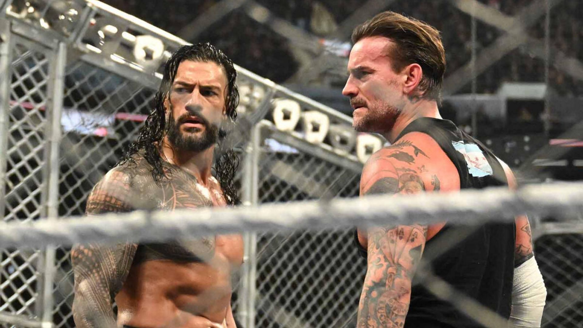 Roman Reigns and CM Punk [Image credits: WWE.com]