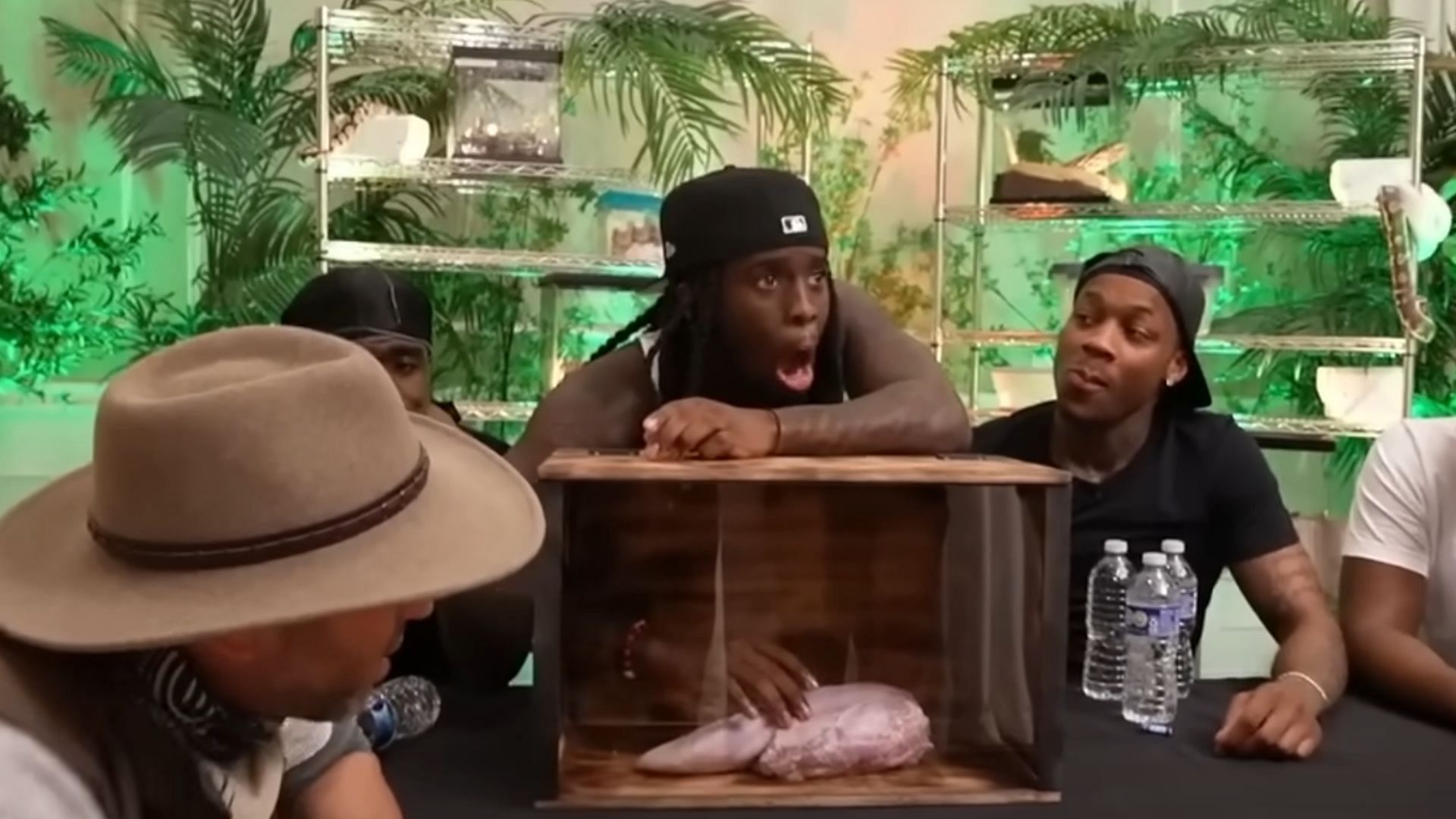 Kai&#039;s reaction as he touches a piece of meat in a What&#039;s In The Box challenge orchestrated by Coyote Peterson (Image via Kai Cenat Live/YouTube)