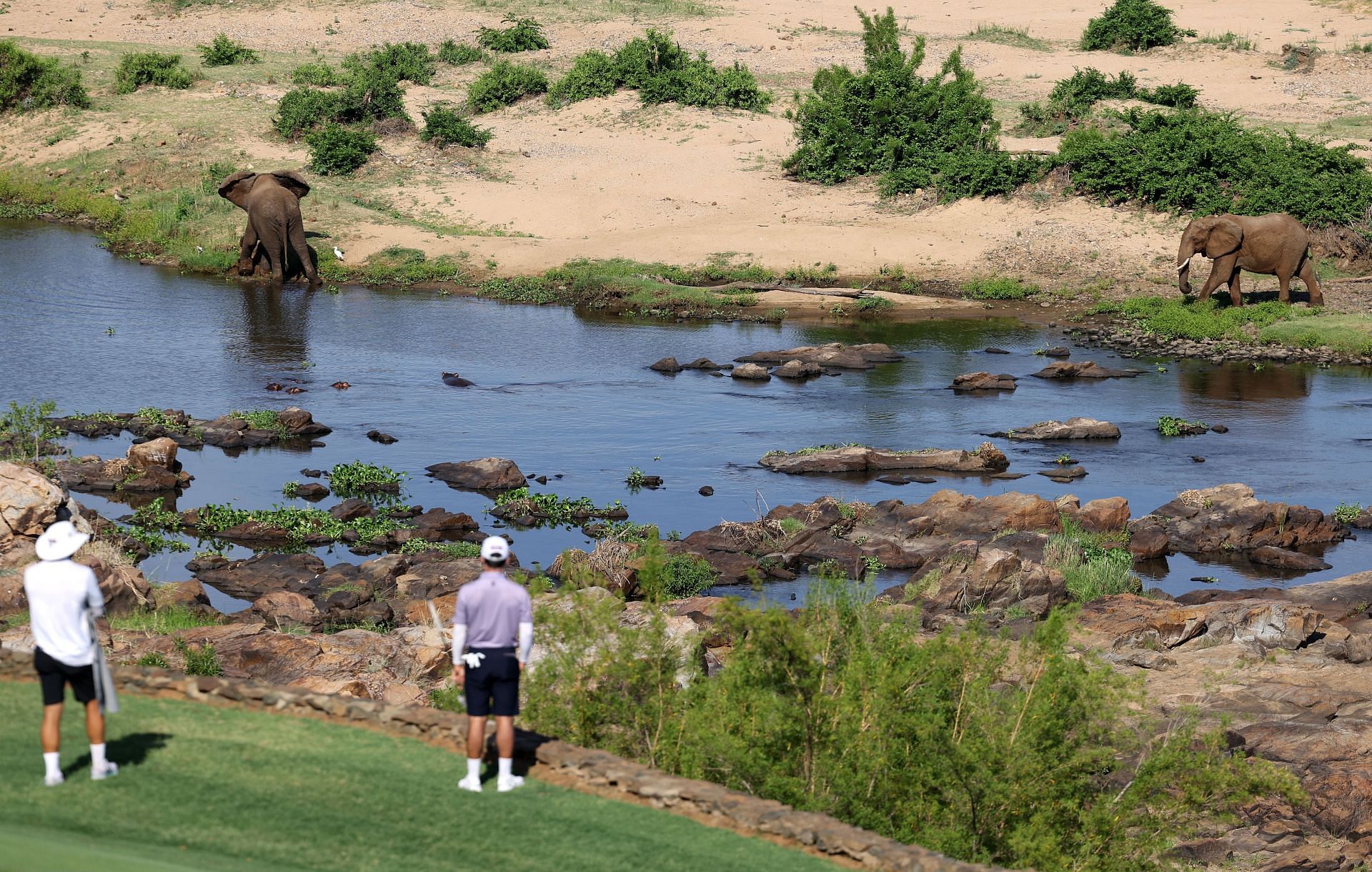 David Ravetto of France watches the elephants in Crocodile River, Krugar National Park (Photo by Warren Little/Getty Images)